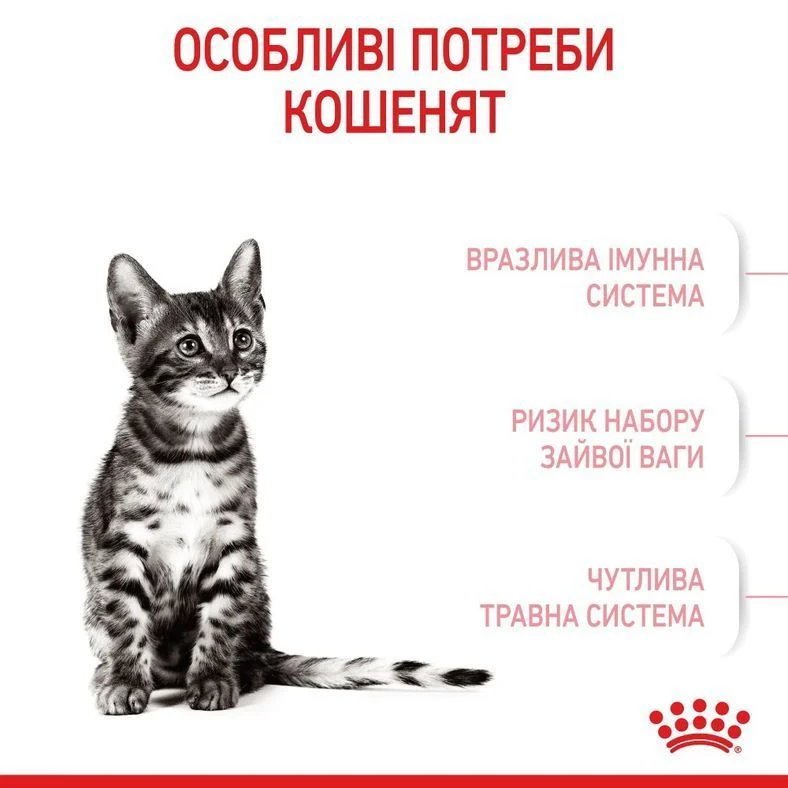 Набор сухого и влажного корма для котят Royal Canin Kitten Sterilised 2 кг + 4 шт. по 85 г