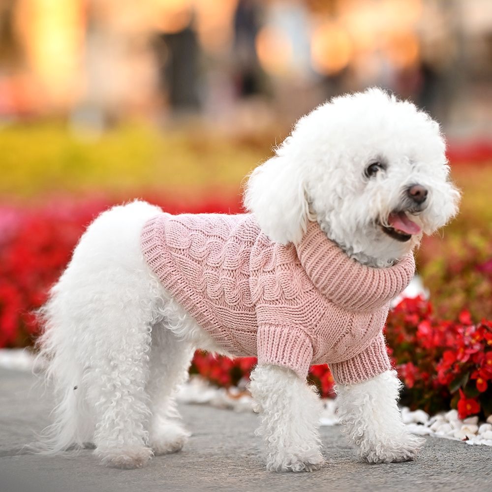 Noble Pet Antony светр для собак XS - рожевий