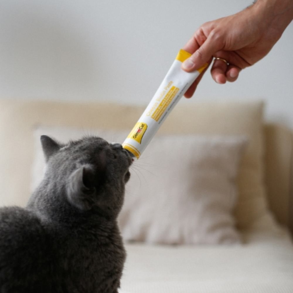 Лакомство для кошек GimCat Cheese Biotin Paste Skin & Coat Complex 100 г — сыр и биотин Лакомство для кошек GimCat Cheese Biotin Paste Skin & Coat Complex 100 г — сыр и биотин