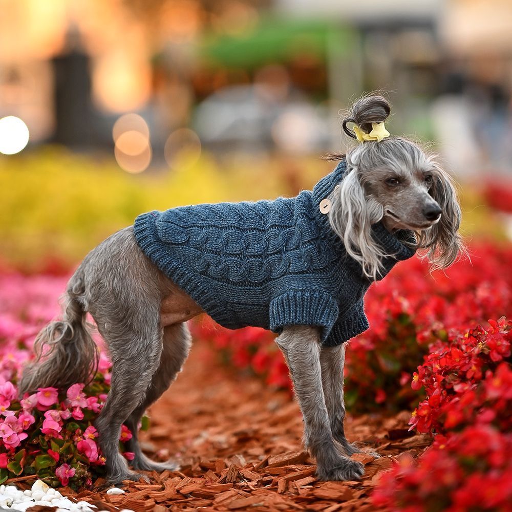 Noble Pet Antony светр для собак XS