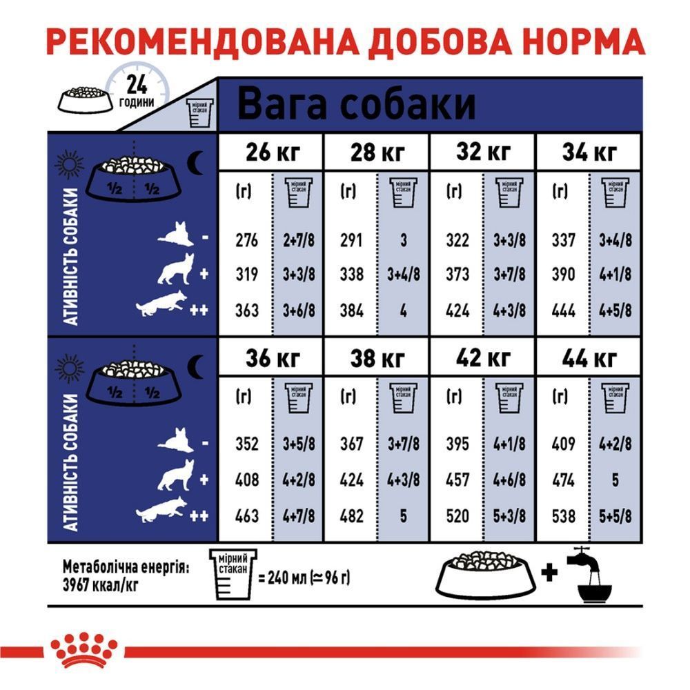 Cухий корм для собак Royal Canin Maxi Adult 3,2 кг + 800 г