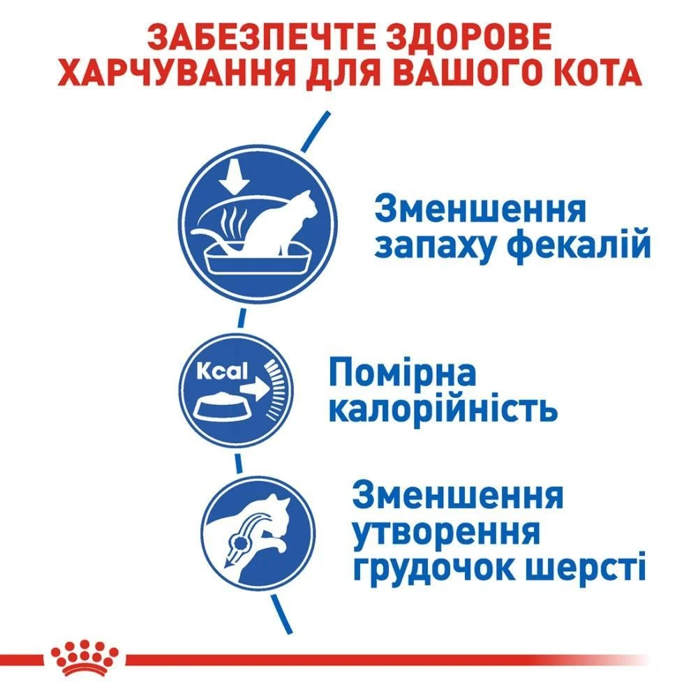 Сухой корм для кошек Royal Canin Indoor 27 4 кг + Минеральный наполнитель Catsan Гигиена Плюс 5 л - без аромата Сухой корм для кошек Royal Canin Indoor 27 4 кг + Минеральный наполнитель Catsan Гигиена Плюс 5 л - без аромата