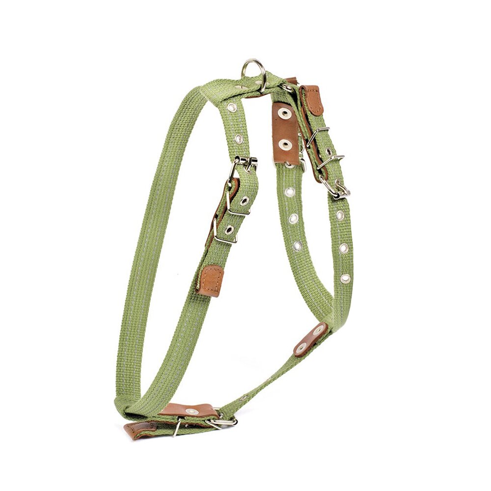 Упряжь Collar брезентовая 36-56 см / 55-65 см / 20 мм (зеленая)