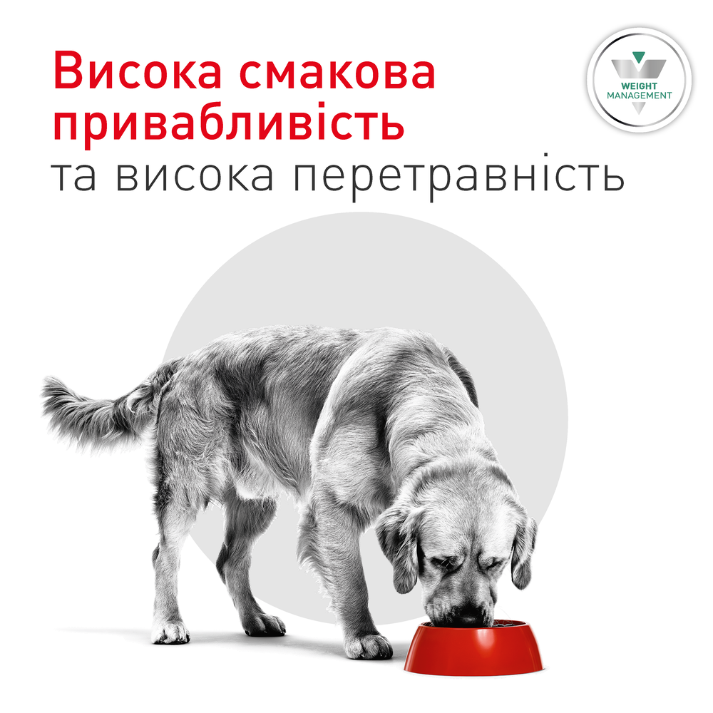 Вологий корм для собак Royal Canin Glycobalance 410 г