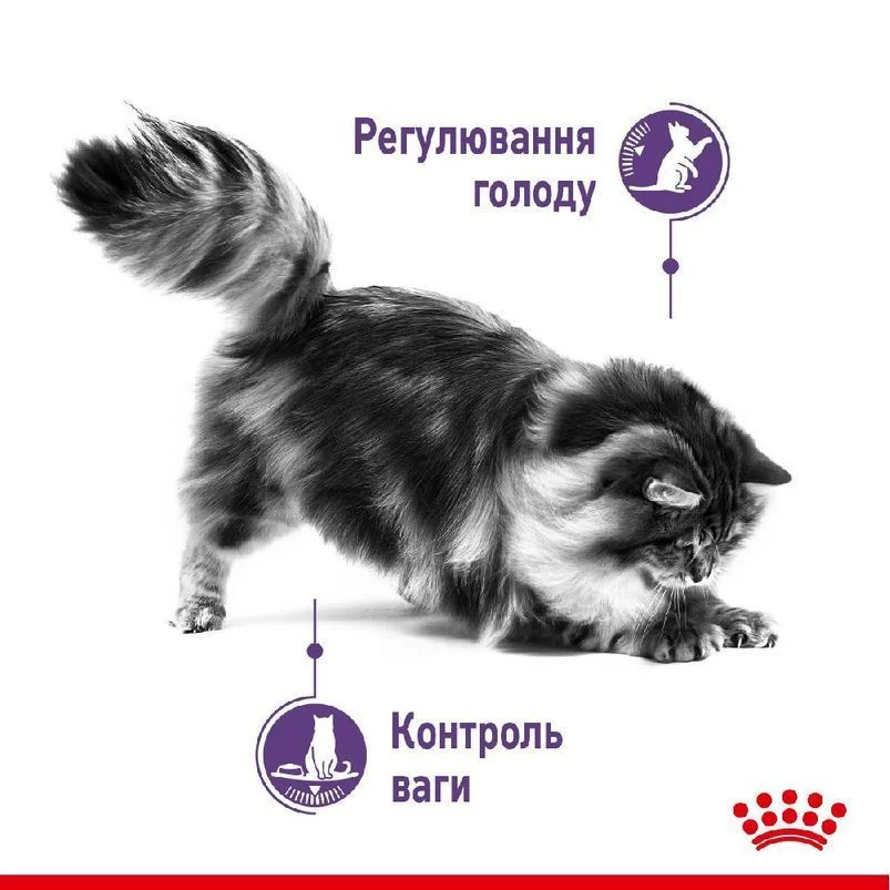 Набор сухого и влажного корма для кошек Royal Canin Appetite Control 2 кг + 4 шт. по 85 г