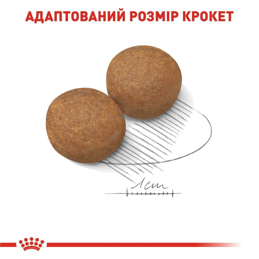 Cухий корм для собак Royal Canin Maxi Adult 3,2 кг + 800 г