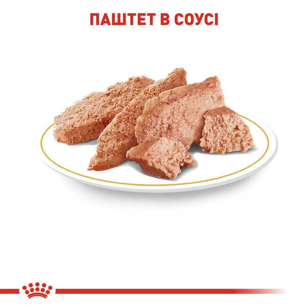 Упаковка влажного корма для собак Royal Canin Yorkshire Terrier Adult 9+3 шт. х 85 г