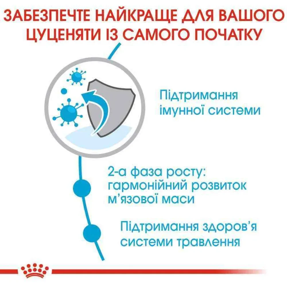 Сухий корм для цуценят Royal Canin Junior Giant 15 кг Сухий корм для цуценят Royal Canin Junior Giant 15 кг
