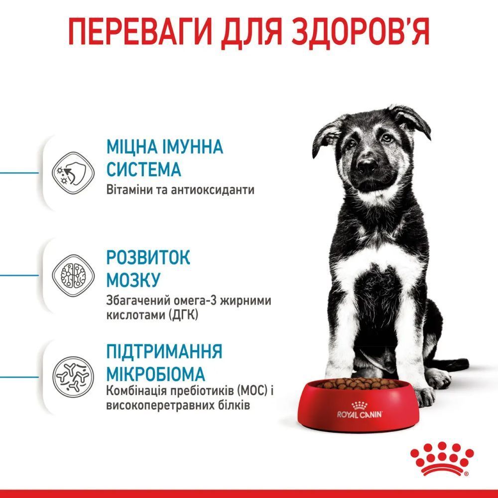 Cухий корм для цуценят Royal Canin Maxi Puppy 3,2 кг + 800 г