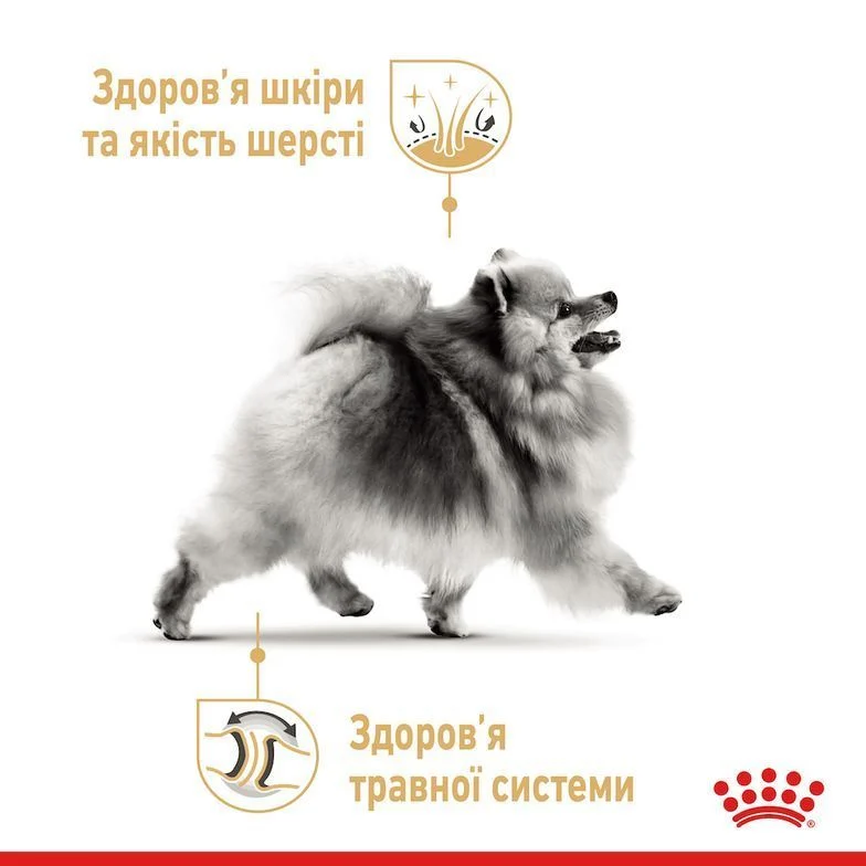 Набор сухого и влажного корма для собак Royal Canin Pomeranian Adult 1,5 кг + 4 шт. по 85 г Набор сухого и влажного корма для собак Royal Canin Pomeranian Adult 1,5 кг + 4 шт. по 85 г