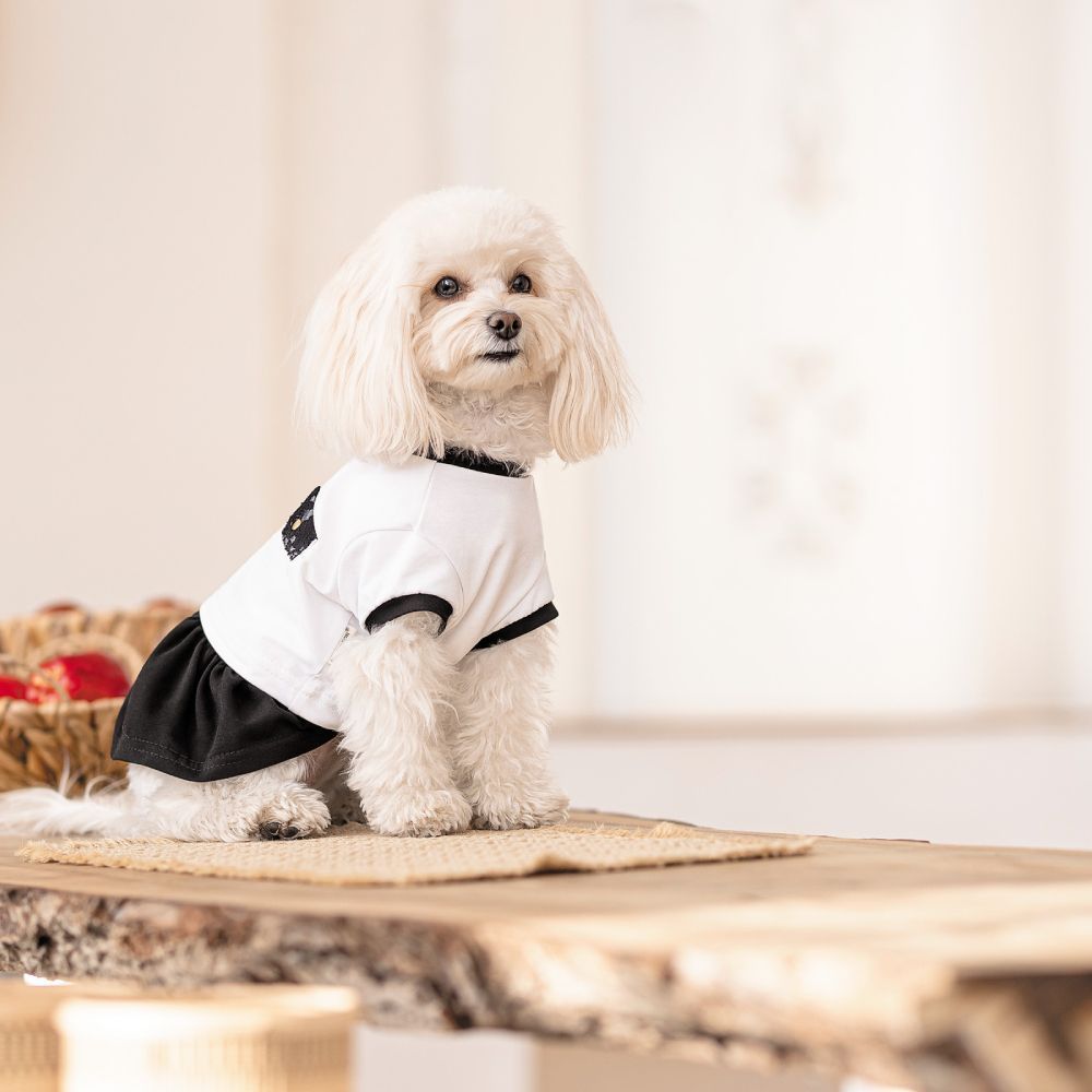 Pet Fashion Chanti сукня для собак XS-2