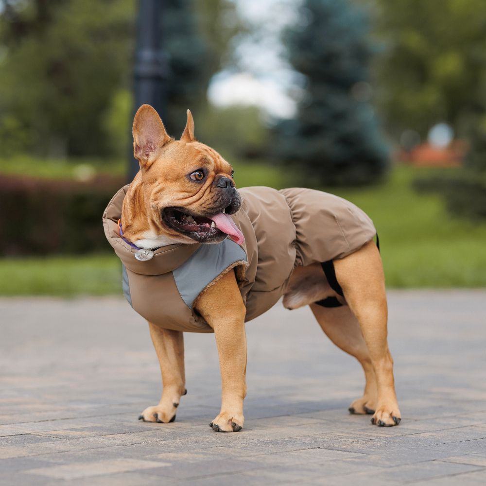 Жилет для собак Pet Fashion Chip S