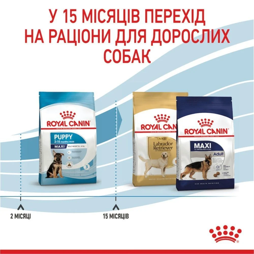 Сухой корм для щенков Royal Canin Maxi Puppy 1 кг Сухой корм для щенков Royal Canin Maxi Puppy 1 кг