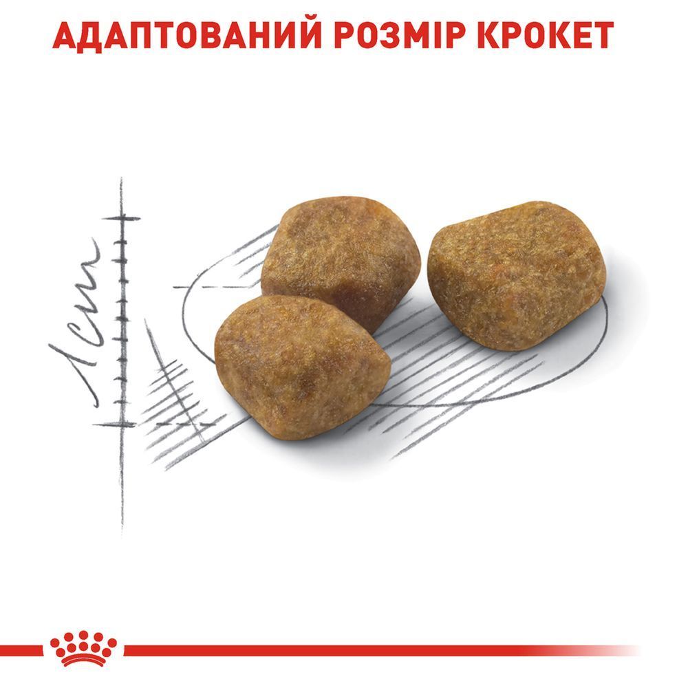 Сухой корм для кошек Royal Canin Indoor 7+ 1,5 кг