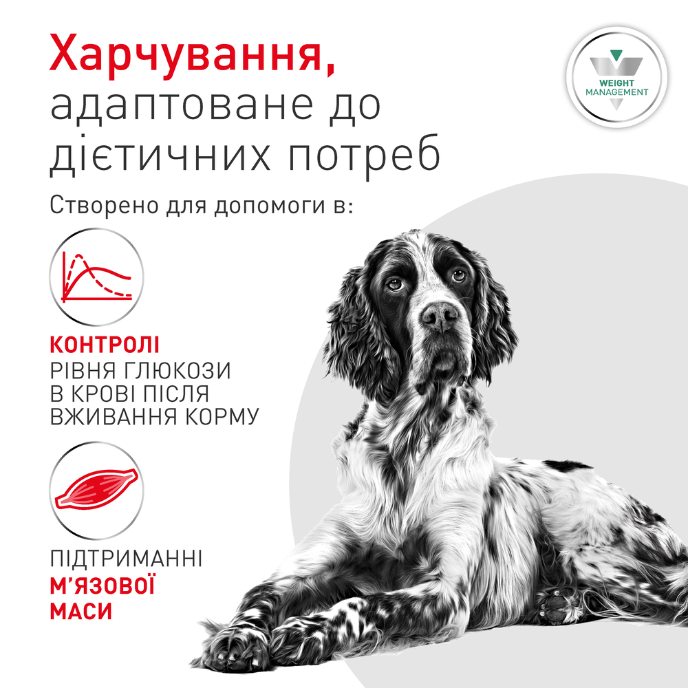 Вологий корм для собак Royal Canin Glycobalance 410 г
