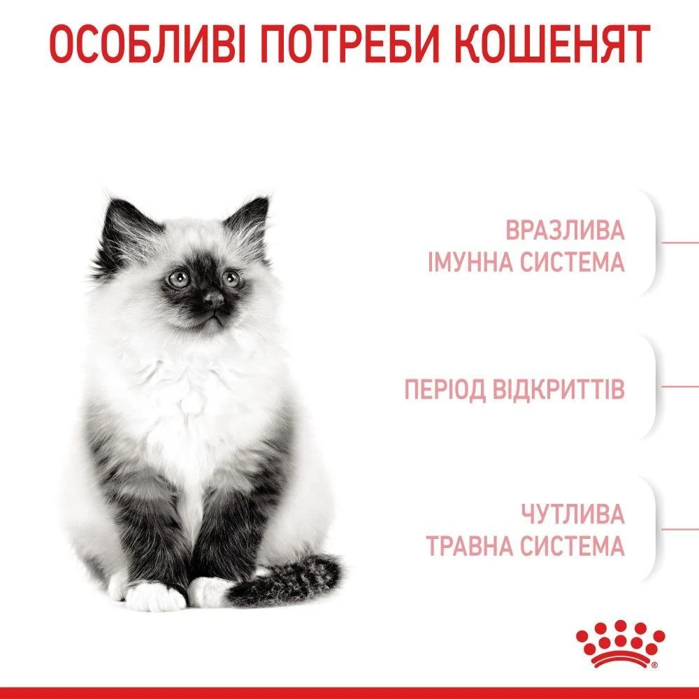 Сухой корм для котят Royal Canin Kitten 4 кг + Минеральный наполнитель Catsan Гигиена Плюс 5 л - без аромата Сухой корм для котят Royal Canin Kitten 4 кг + Минеральный наполнитель Catsan Гигиена Плюс 5 л - без аромата