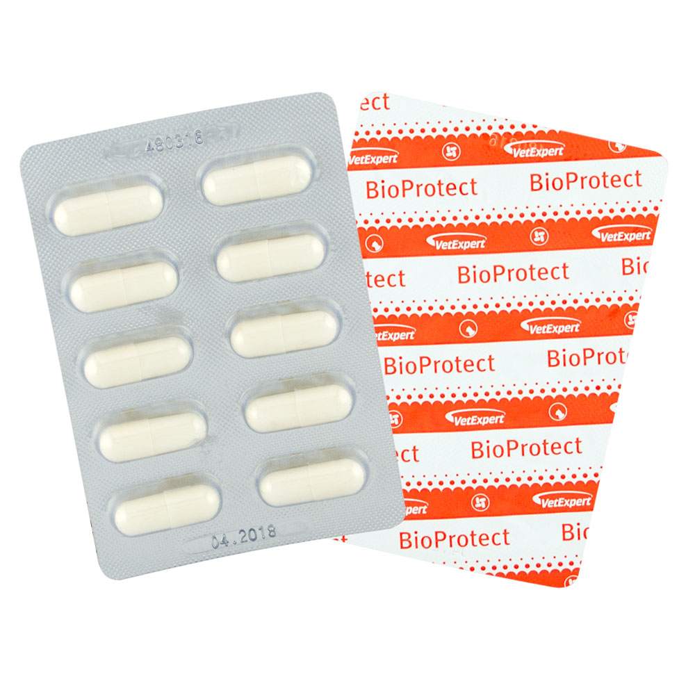 Харчова добавка для котів і собак VetExpert BioProtect, 60 капсул Харчова добавка для котів і собак VetExpert BioProtect, 60 капсул