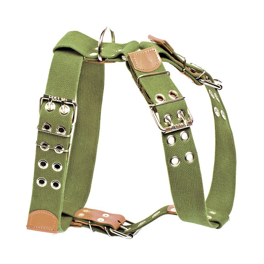 Шлейка Collar брезентовая №1, 59-77 см / 77-89 см / 45 мм (зеленая)