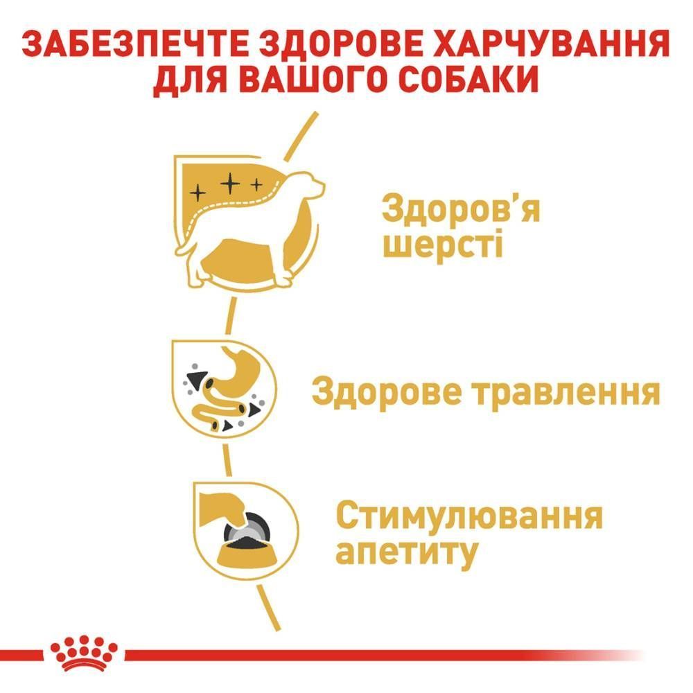 Упаковка влажного корма для собак Royal Canin Chihuahua Adult 9+3 шт. х 85 г