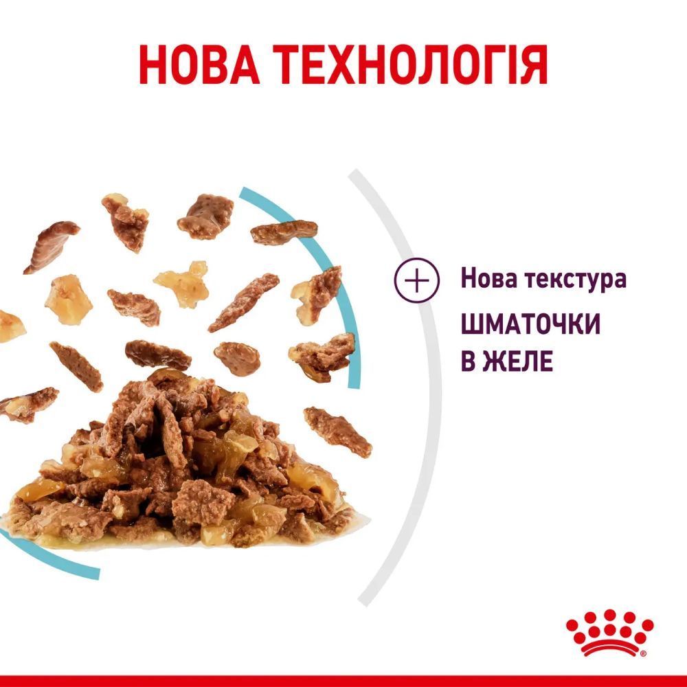 Упаковка влажного корма для кошек Royal Canin Sensory Gravy 9+3 шт. х 85 г Упаковка влажного корма для кошек Royal Canin Sensory Gravy 9+3 шт. х 85 г