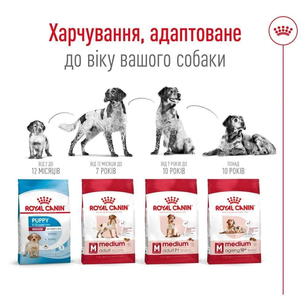 Сухий корм для собак Royal Canin Medium Adult 3 кг - домашня птиця Сухий корм для собак Royal Canin Medium Adult 3 кг - домашня птиця