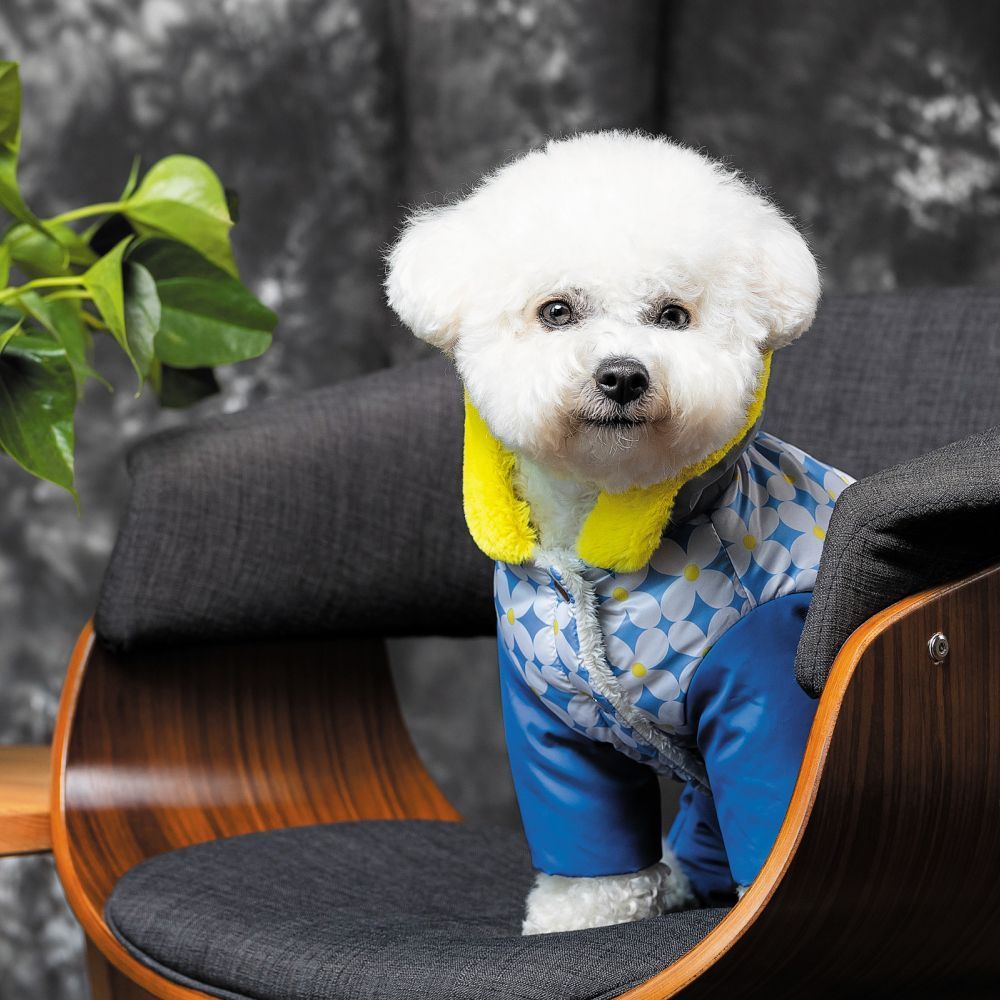 Костюм для собак Pet Fashion «Tender» XS