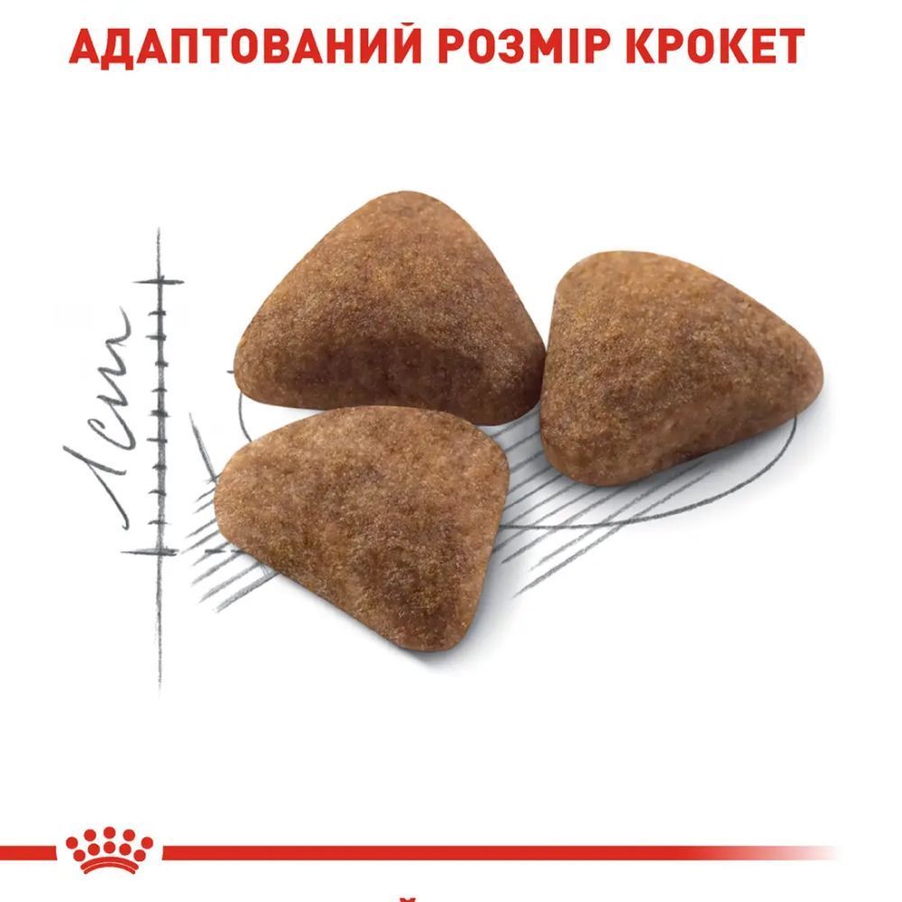Сухой корм для кошек Royal Canin Indoor 27 8+2 кг