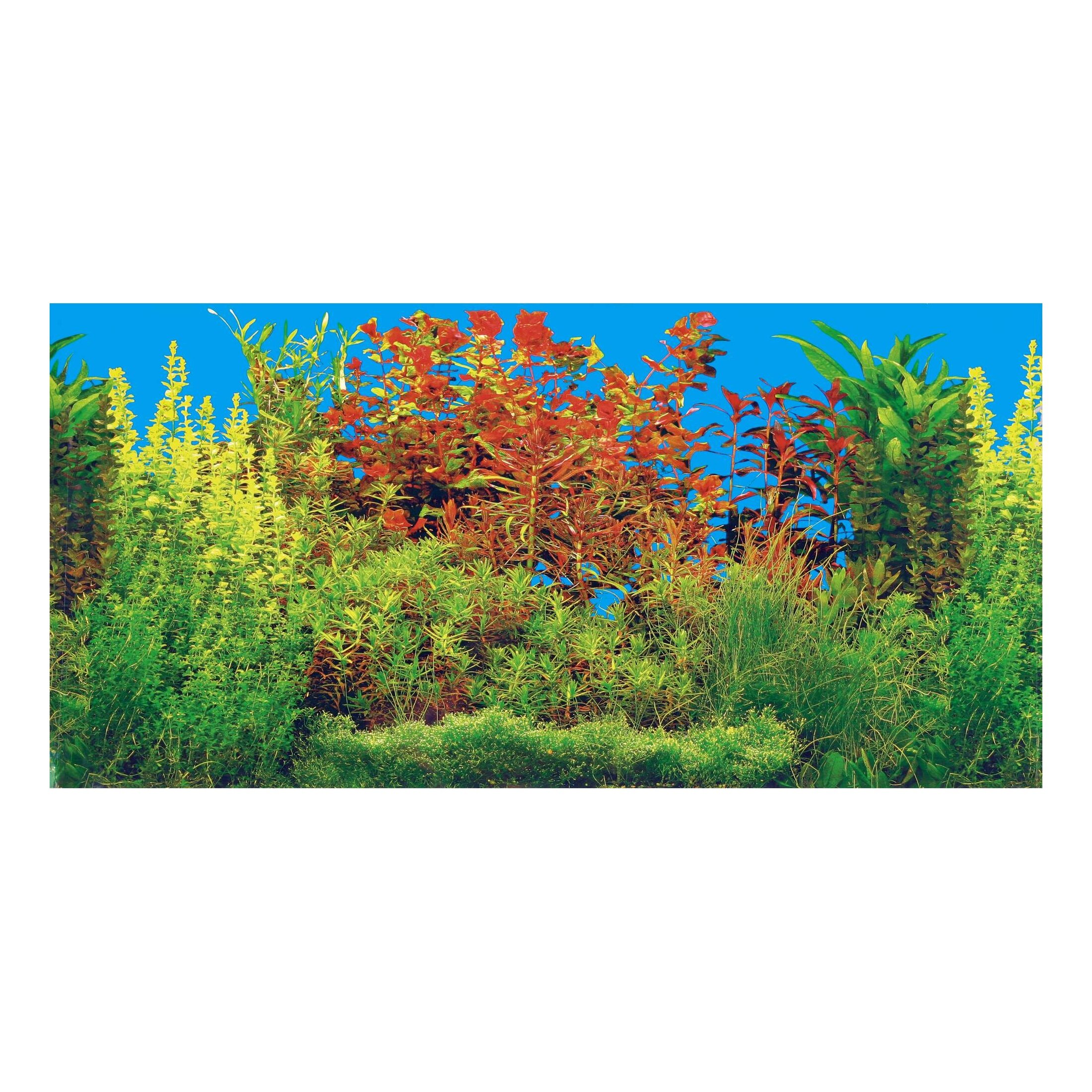 Фон для аквариума Trixie 80 x 40 см