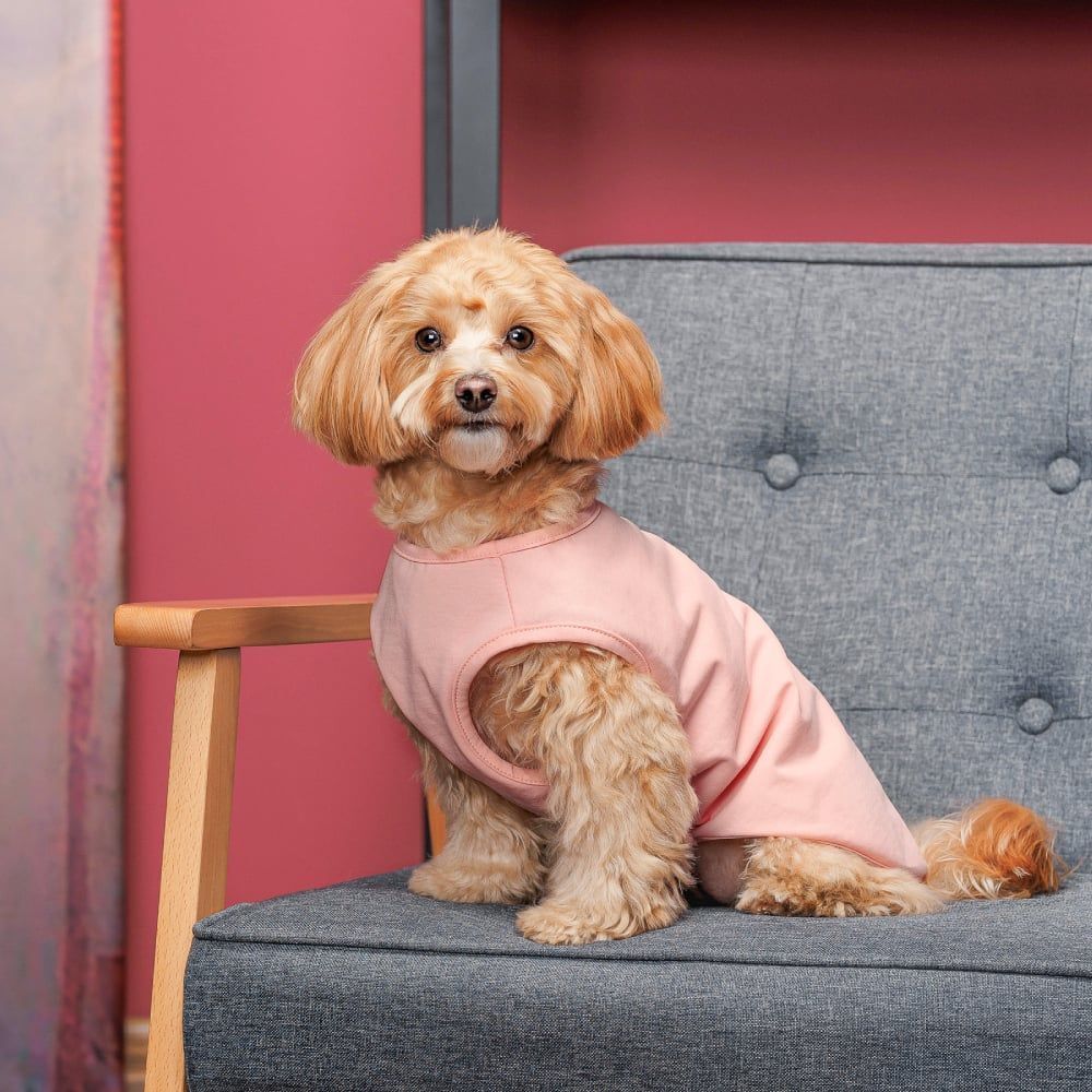 Pet Fashion Kale борцівка для собак S - рожева Pet Fashion Kale борцівка для собак S - рожева