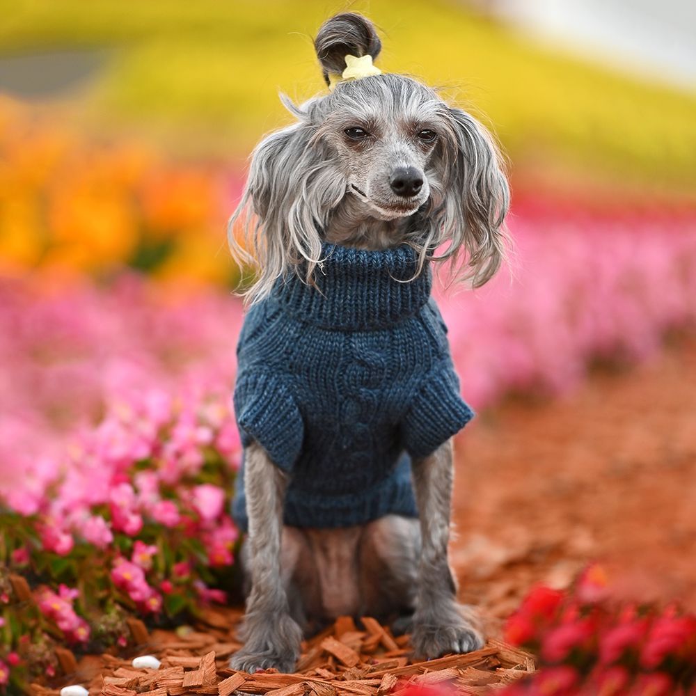Noble Pet Antony светр для собак XS