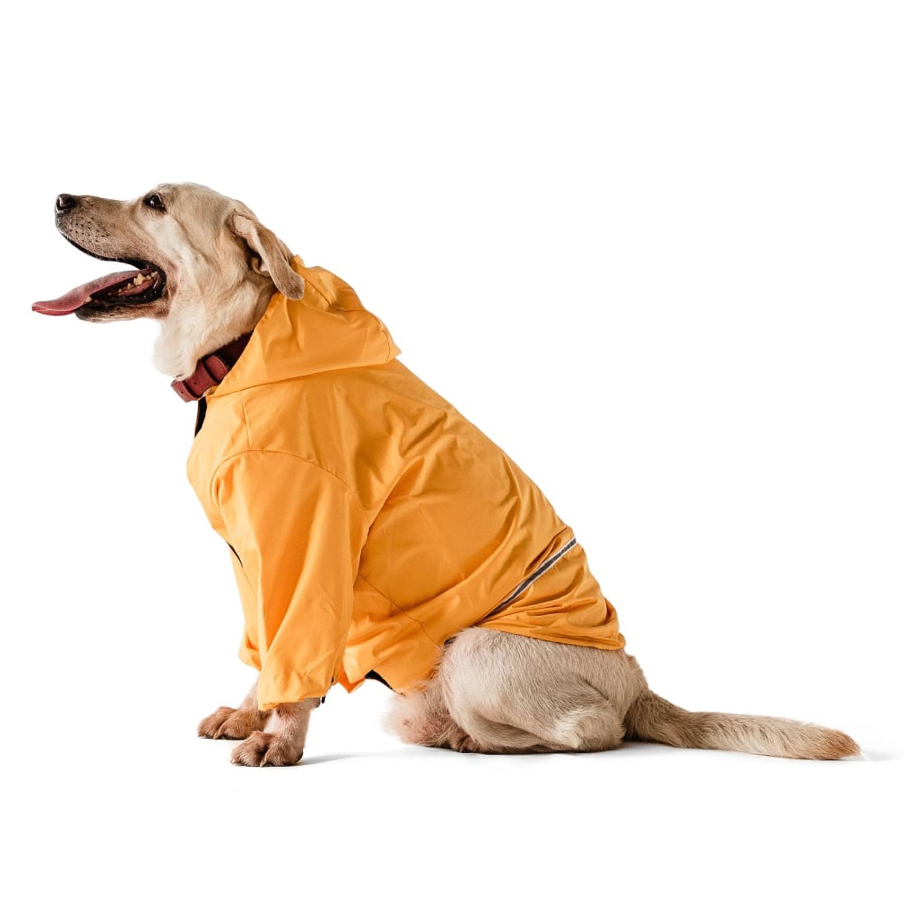 Noble Pet Moss дощовик для собак 2XL жовтий Noble Pet Moss дощовик для собак 2XL жовтий