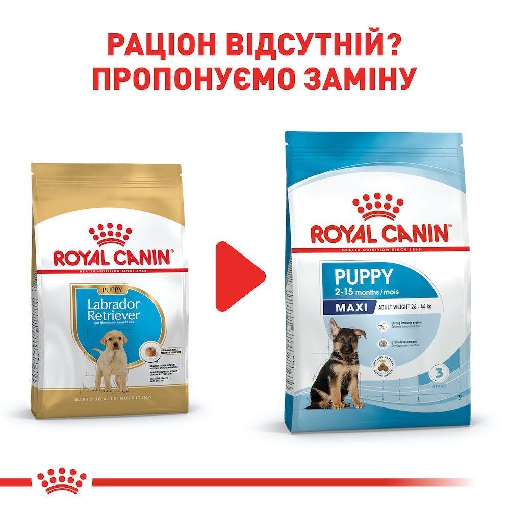 Cухий корм для цуценят Royal Canin Labrador Retriever Puppy 12 кг