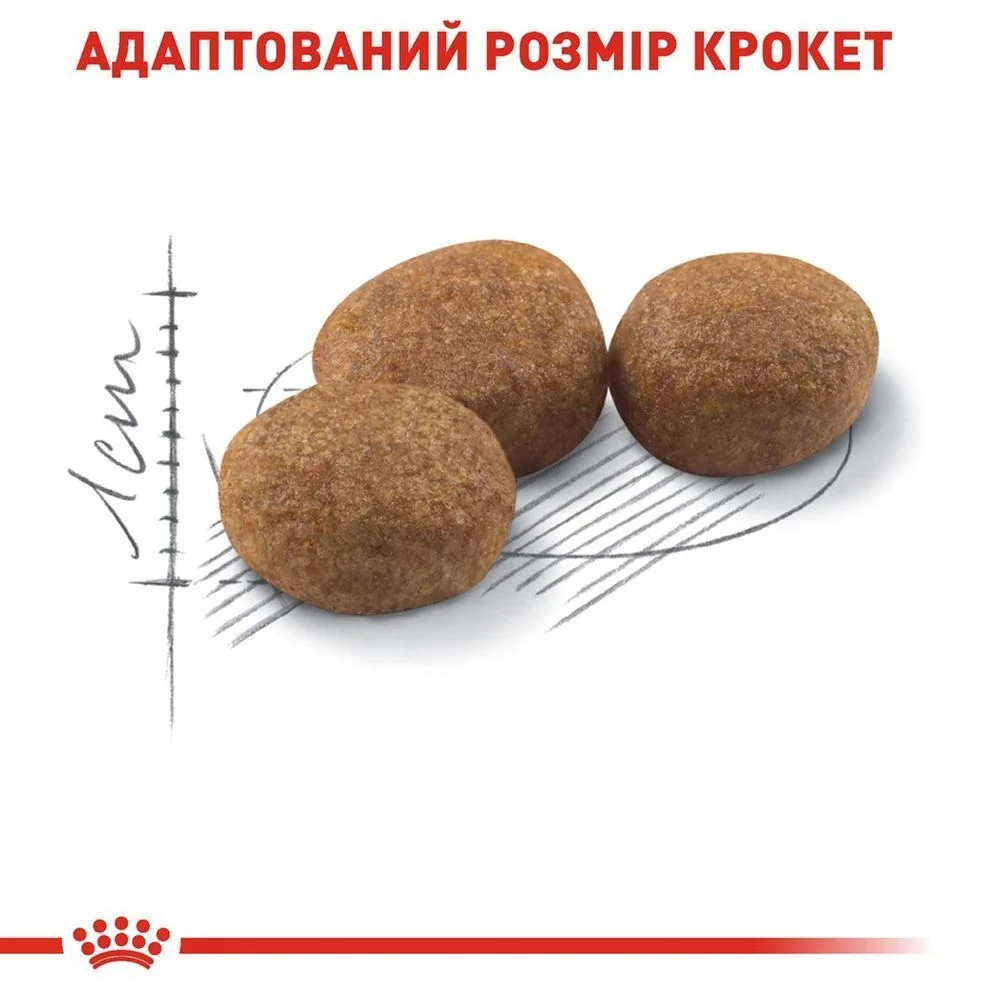 Сухой корм для кошек Royal Canin Sterilised 37 4 кг + Минеральный наполнитель Catsan Гигиена Плюс 5 л - без аромата Сухой корм для кошек Royal Canin Sterilised 37 4 кг + Минеральный наполнитель Catsan Гигиена Плюс 5 л - без аромата