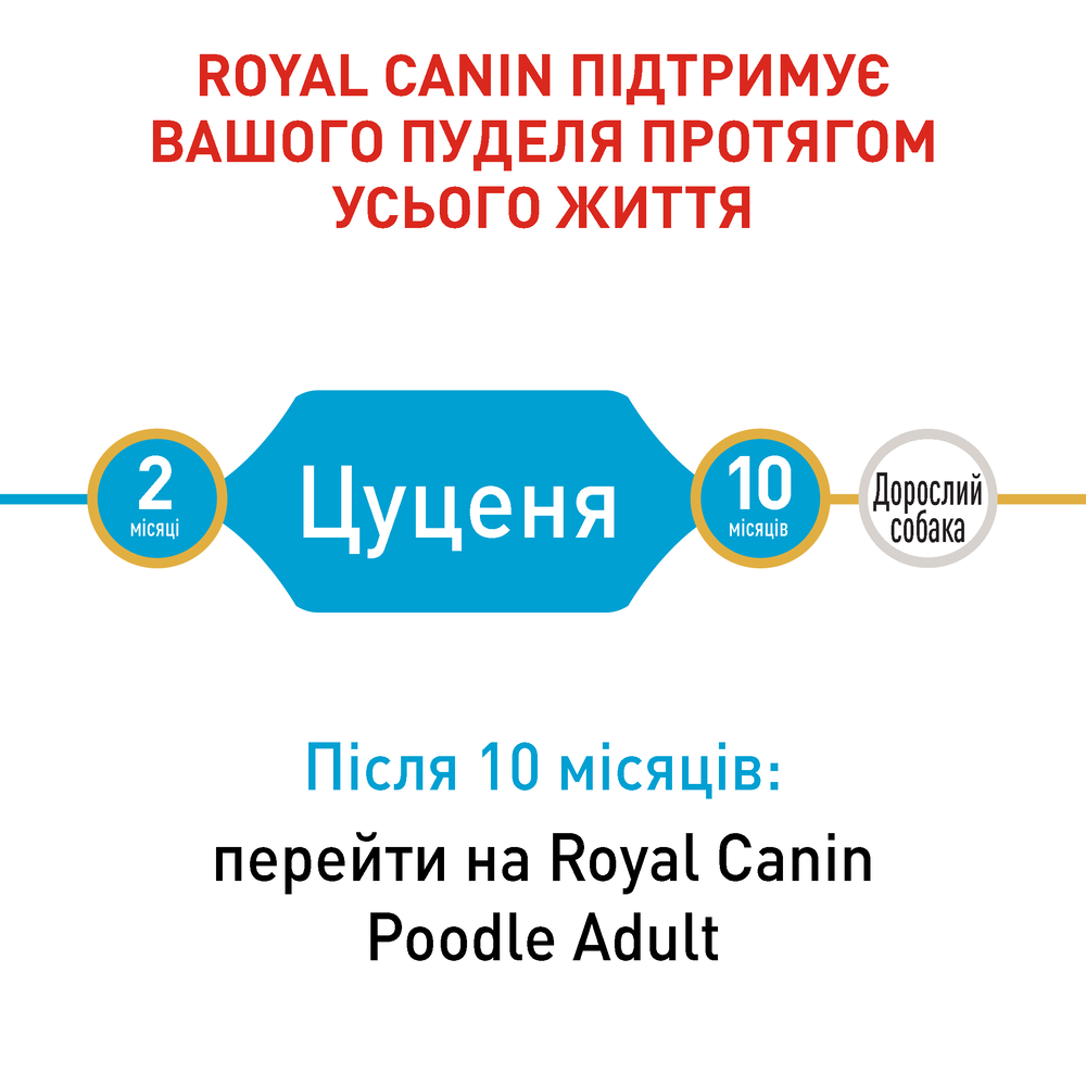 Сухой корм для щенков Royal Canin Poodle Puppy 500 г