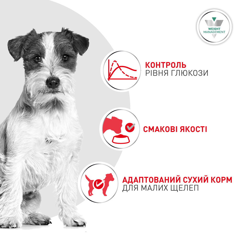 Сухий корм для собак Royal Canin Glycobalance Small Dog 1,5 кг