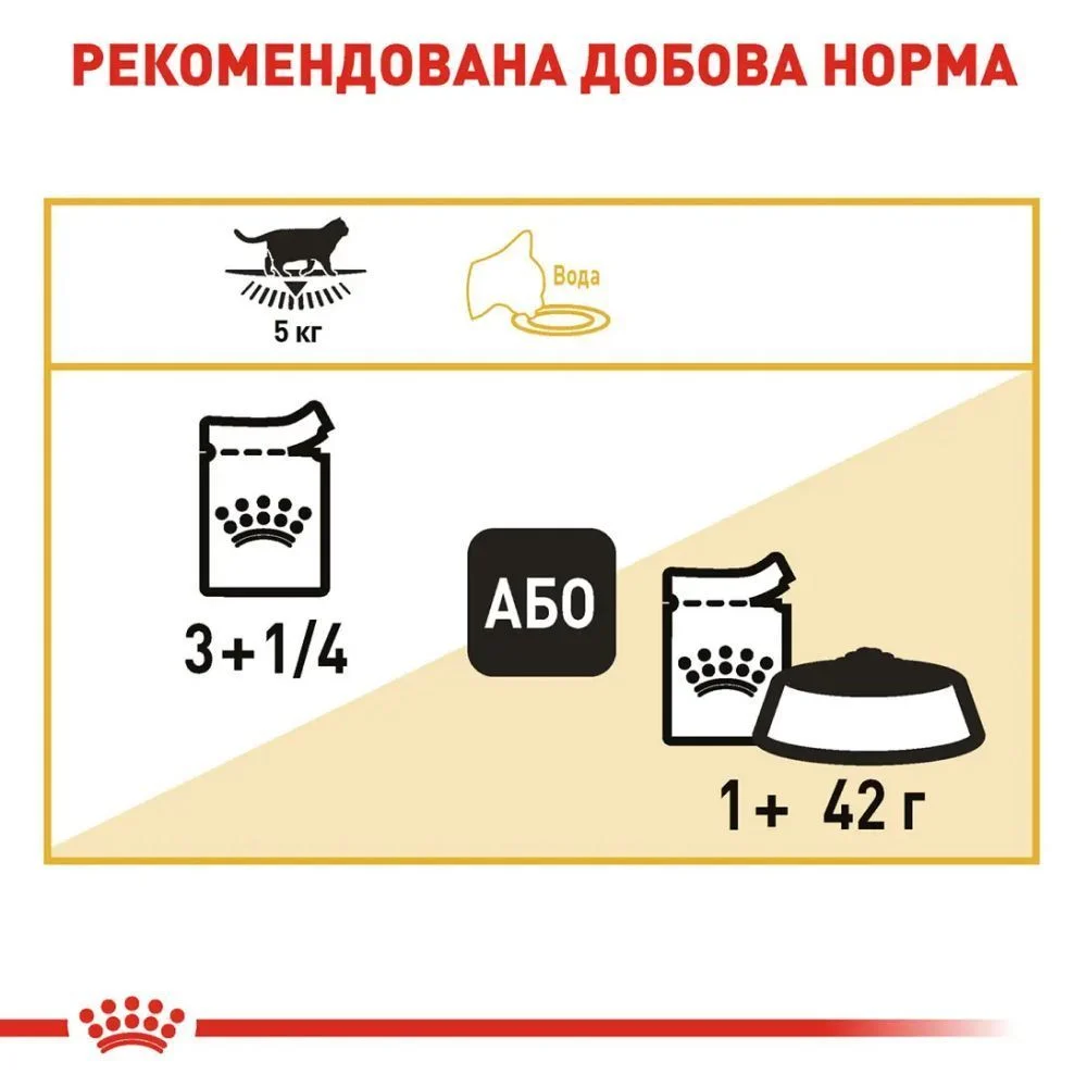 Упаковка вологого корму для котів Royal Canin British Shorthair Adult Gravy pouch 3+1 шт х 85 г Упаковка вологого корму для котів Royal Canin British Shorthair Adult Gravy pouch 3+1 шт х 85 г