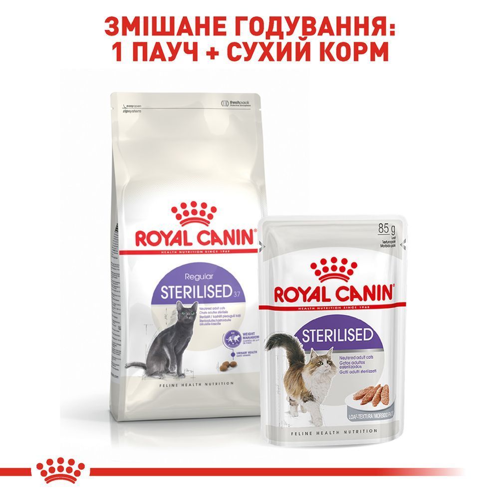 Сухой корм для кошек Royal Canin Sterilised 37 3,2 кг + 800 г Сухой корм для кошек Royal Canin Sterilised 37 3,2 кг + 800 г
