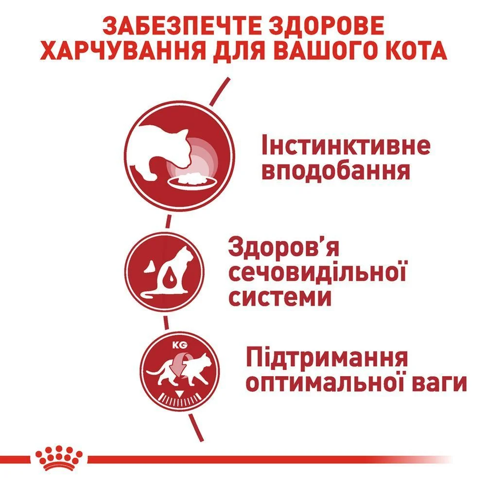 Упаковка вологого корму для котів Royal Canin Instinctive Gravy 3+1 шт х 85 г