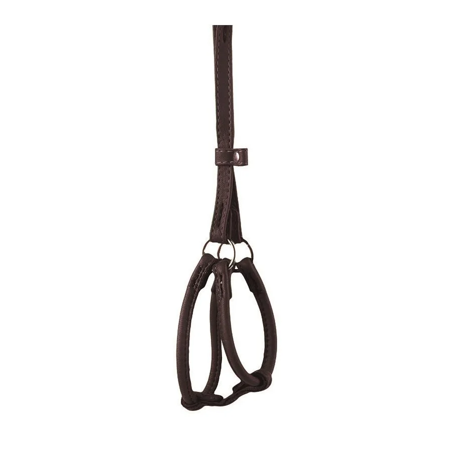 Шлейка с поводком Collar кожаная круглая «Soft» (Софт) №1, А:26-46 см / В:30-50 см / 1,05 м / 6 мм (чёрная) Шлейка с поводком Collar кожаная круглая «Soft» (Софт) №1, А:26-46 см / В:30-50 см / 1,05 м / 6 мм (чёрная)