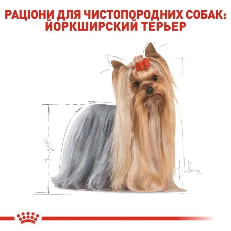 Набор сухого и влажного корма для собак Royal Canin Yorkshire Terrier Adult 1,5 кг + 4 шт. по 85 г Набор сухого и влажного корма для собак Royal Canin Yorkshire Terrier Adult 1,5 кг + 4 шт. по 85 г