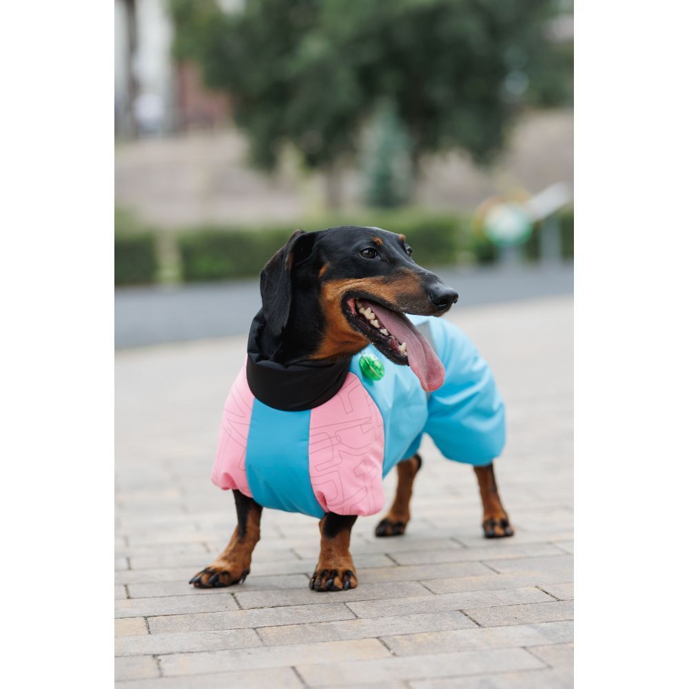 Pet Fashion Milly комбінезон для собак L коргі