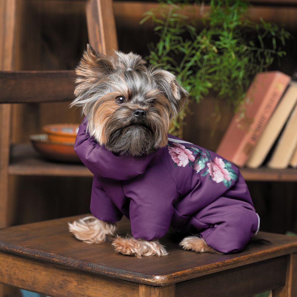 Костюм для собак дівчинок Pet Fashion «Lola» XS Костюм для собак дівчинок Pet Fashion «Lola» XS
