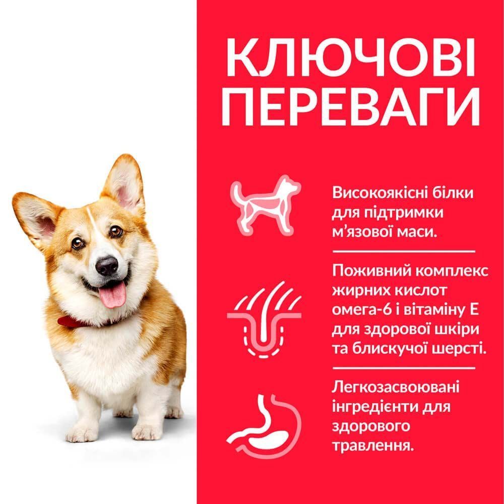 Сухий корм для собак Hill’s Science Plan Small&Mini Adult 1+0,5 кг - курка