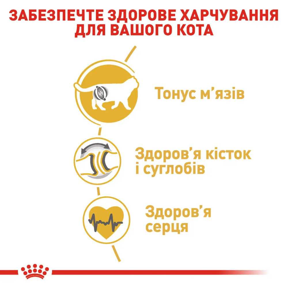 Набір сухого та вологого корму для котів Royal Canin British Shorthair Adult 2 кг + 4 шт х 85 г Набір сухого та вологого корму для котів Royal Canin British Shorthair Adult 2 кг + 4 шт х 85 г