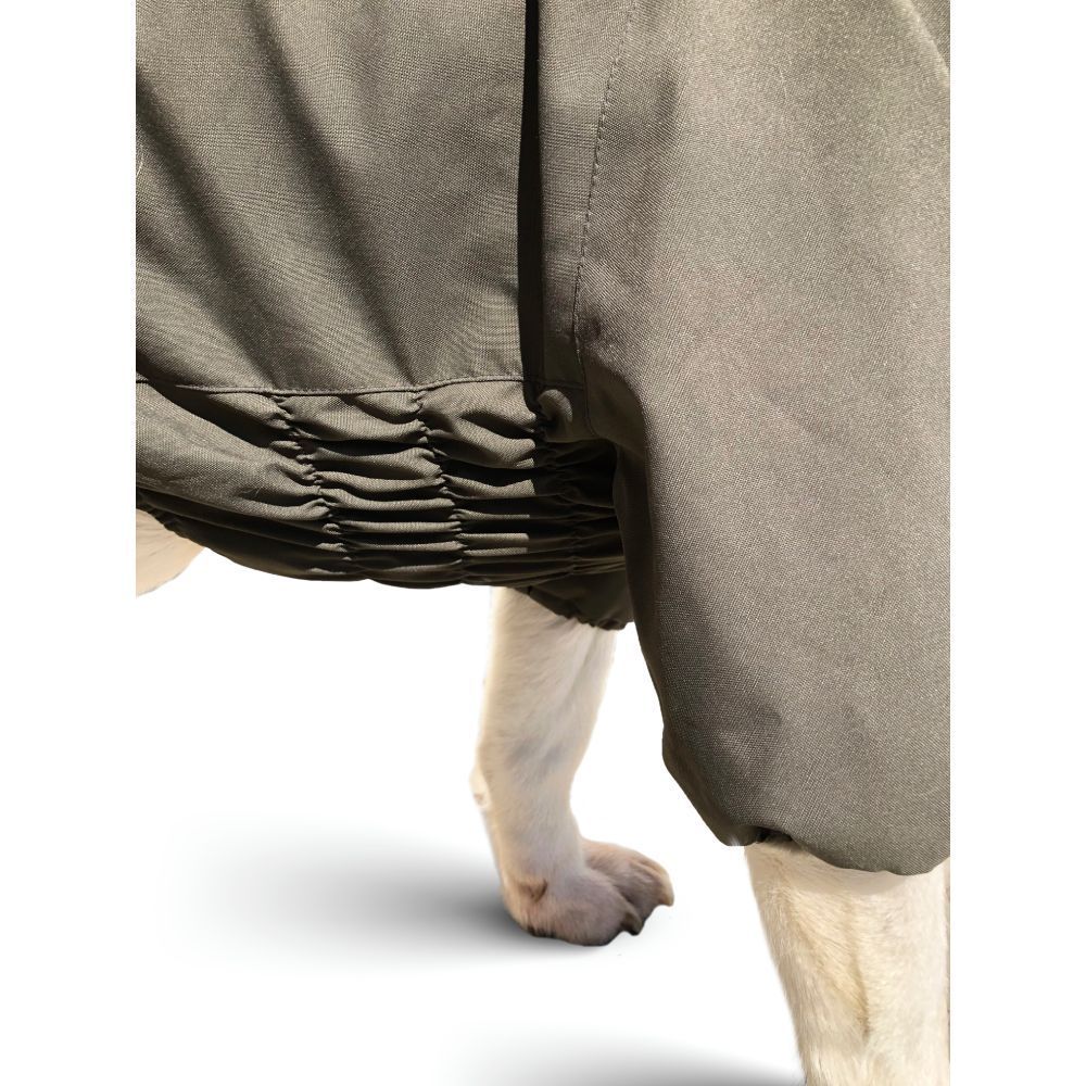 Комбінезон для собак Noble Pet Travis M
