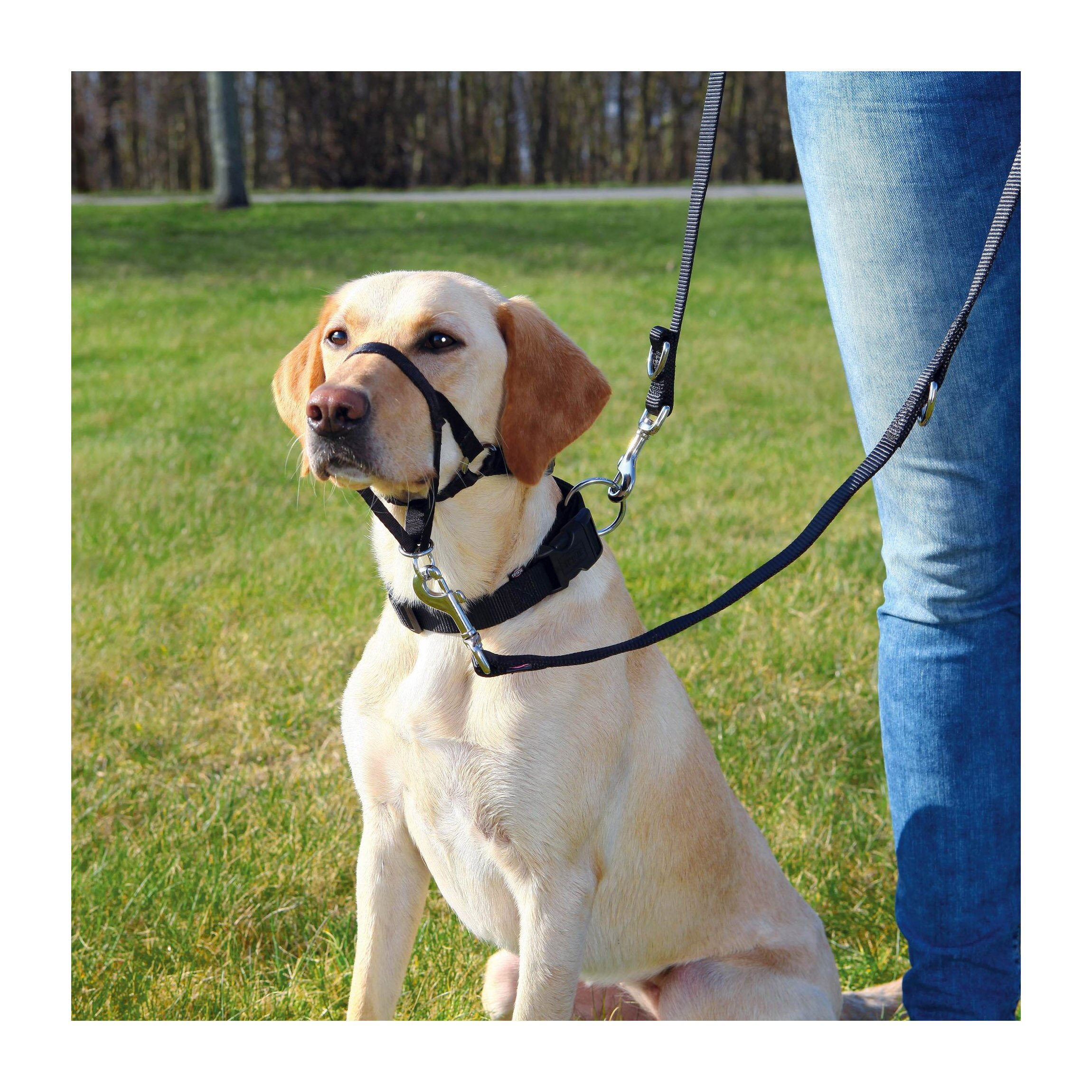 Поводок Trixie нейлоновый «Top Trainer» S 35-42 см / 22 см (черный) Поводок Trixie нейлоновый «Top Trainer» S 35-42 см / 22 см (черный)