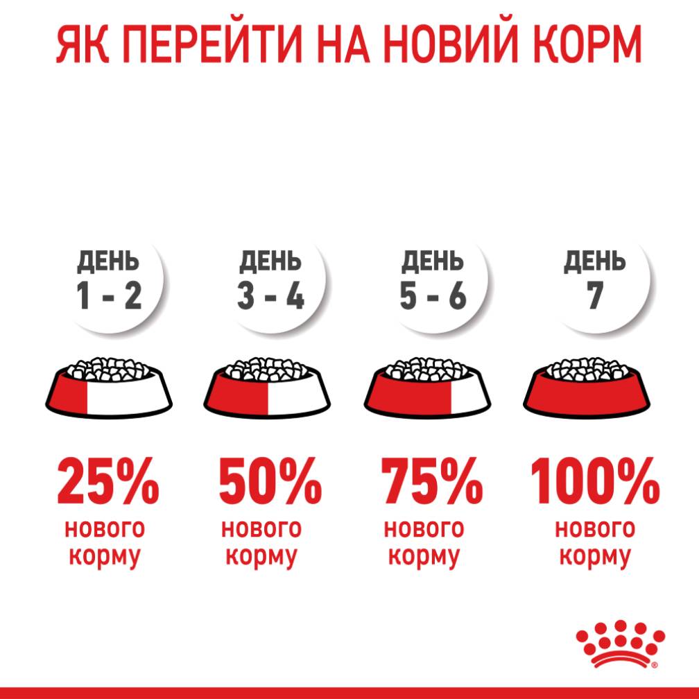 Набір сухого та вологого корму для котів Royal Canin Indoor 27 2 кг + 4 шт х 85 г
