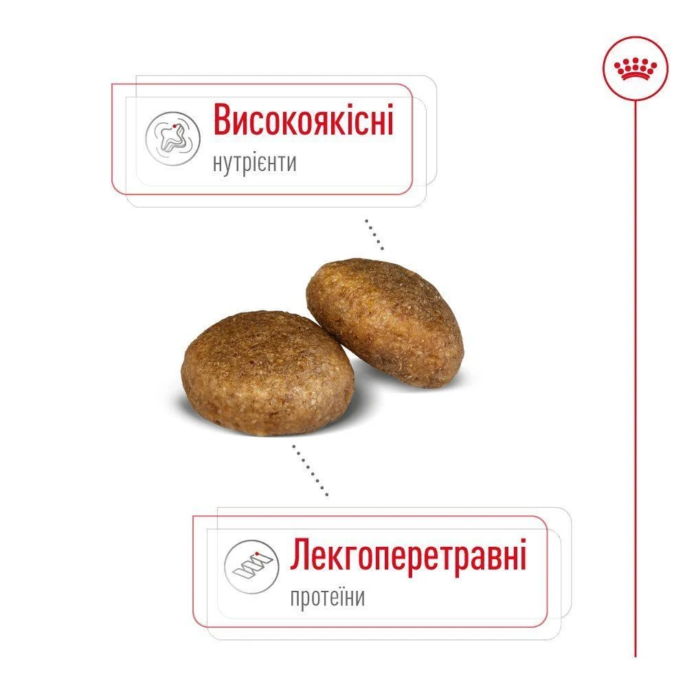 Сухой корм для собак Royal Canin Maxi Adult 3 кг - домашняя птица