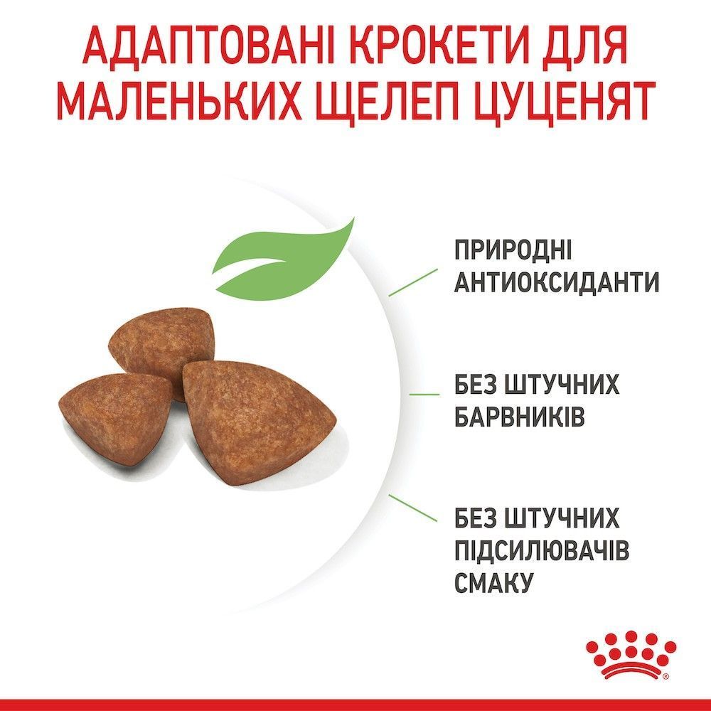 Сухой корм для щенков Royal Canin Puppy X-Small 1,2 кг