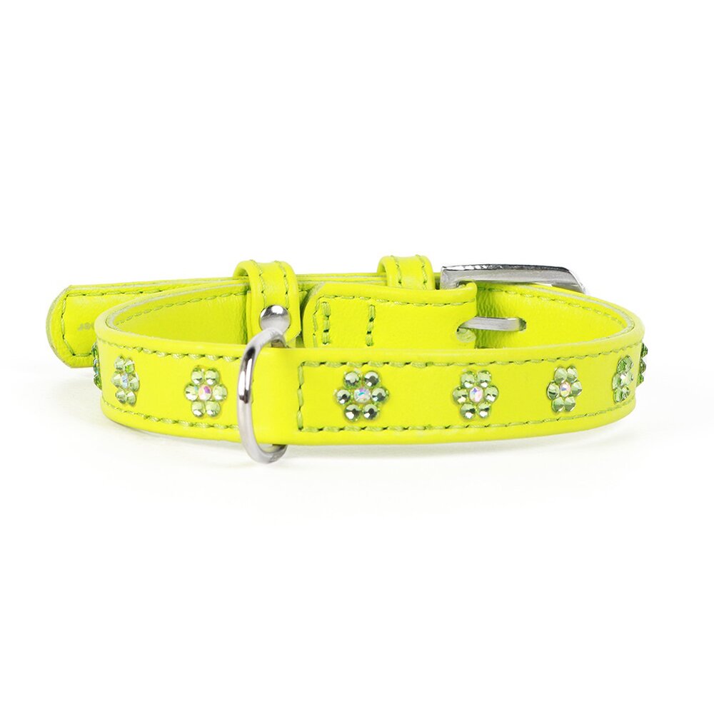 Ошейник Collar кожаный с цветочками «Glamour» (Гламур) 18-21 см / 9 мм (зеленый)